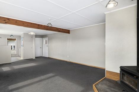 Photo of property in 113 Mulford Street, Concord, Dunedin, 9018