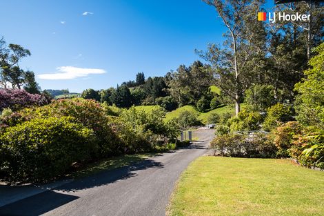 Photo of property in 40 Barr Street, Kenmure, Dunedin, 9011