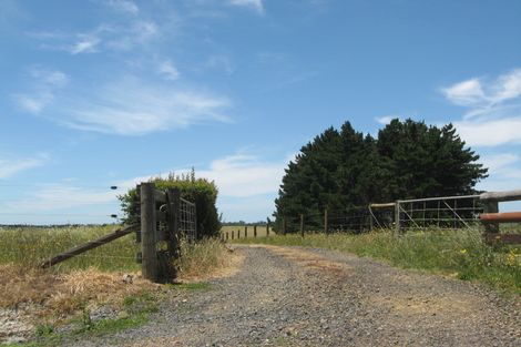 Photo of property in 77 Boyd Road, Clarks Beach, Pukekohe, 2679