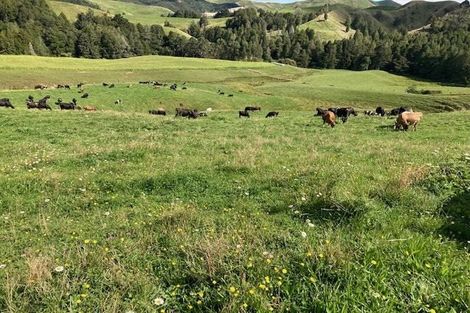 Photo of property in 755 Limeworks Loop Road, Karamu, Hamilton, 3285