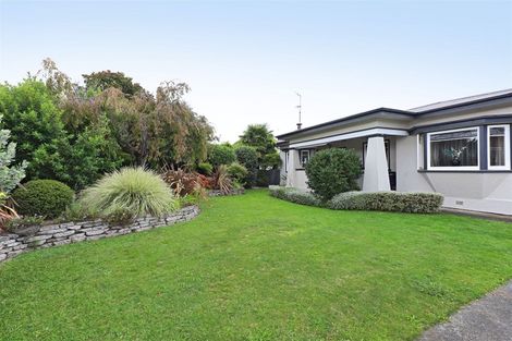 Photo of property in 501 Charles Street, Saint Leonards, Hastings, 4120