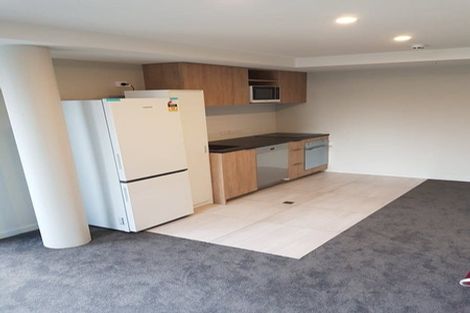 Photo of property in Pinnacle Apartments, W406/160 Victoria Street, Te Aro, Wellington, 6011