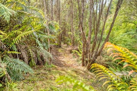 Photo of property in 120 Brickfield Road, Seaview, Hokitika, 7882