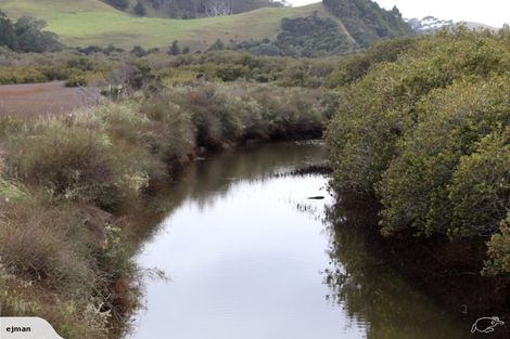 Photo of property in 356 Hailes Road, Whananaki, Hikurangi, 0181