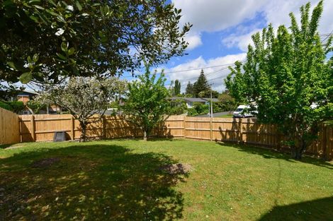 Photo of property in 3 Wake Street, Chartwell, Hamilton, 3210