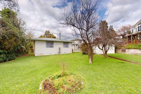 Photo of property in 5 Patea Place, Terrace End, Palmerston North, 4410