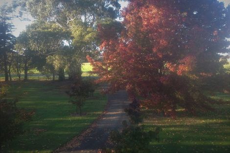 Photo of property in 555 Lower Sefton Road, Sefton, Rangiora, 7477