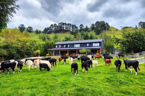 Photo of property in 1765 Tutukau Road, Ohakuri, Reporoa, 3083