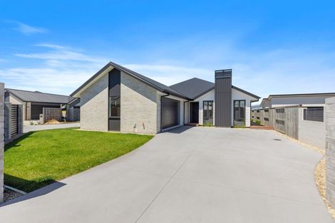 Photo of property in 53 Cotula Way, Papamoa Beach, Papamoa, 3118