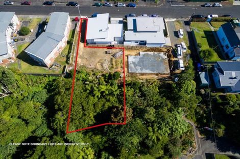 Photo of property in 51 Young Street, New Plymouth, 4310