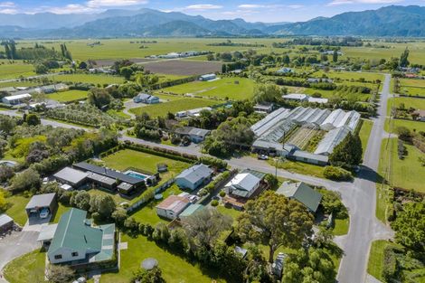 Photo of property in 3 Gee Street, Renwick, 7204