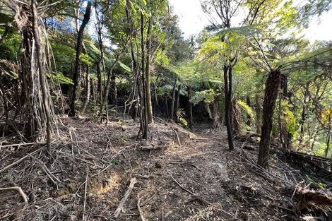 Photo of property in 211 Krippner Road, Puhoi, Warkworth, 0994