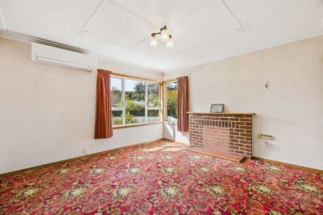 Photo of property in 237 Malvern Street, Glenleith, Dunedin, 9010