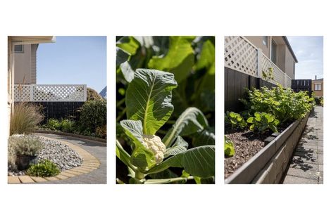 Photo of property in 2/8 Aberdeen Street, Mount Maunganui, 3116