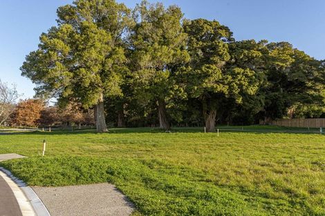 Photo of property in 23 Orchard Road, Greytown, 5712