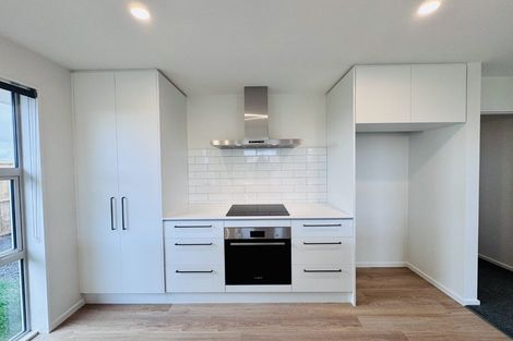 Photo of property in 65 Harrison Drive, Rolleston, 7614