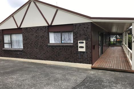 Photo of property in 111a Wellington Street, Pukekohe, 2120