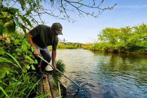 Photo of property in 219 Brown Road, Brixton, Waitara, 4382
