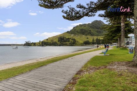 Photo of property in 16d May Street, Mount Maunganui, 3116