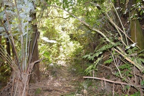 Photo of property in 1455 Buffalo Road, Coromandel, 3506