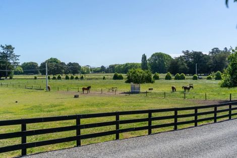 Photo of property in 269 Te Whiti Road, Homebush, Masterton, 5885