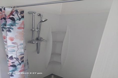 Photo of property in 87 Arapuni Street, Putaruru, 3411