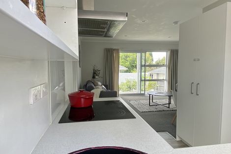 Photo of property in 3a Cornwall Street, Arrowtown, 9302