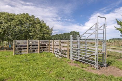 Photo of property in 665 Wolffs Road, Eyrewell, Rangiora, 7476