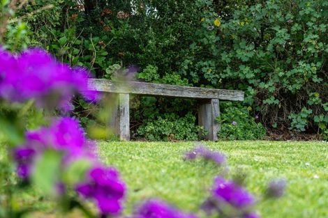 Photo of property in 51 Dundonald Street, Tainui, Dunedin, 9013