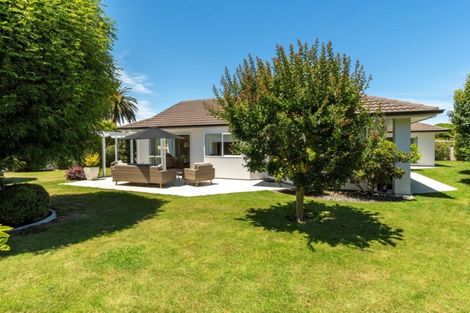 Photo of property in 9 Elmley Place, Bethlehem, Tauranga, 3110
