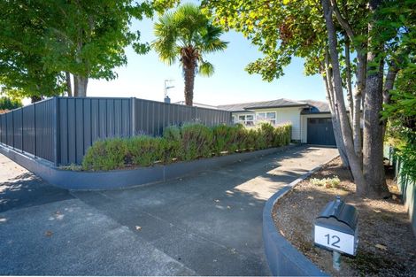 Photo of property in 12 Flanders Avenue, Onekawa, Napier, 4110