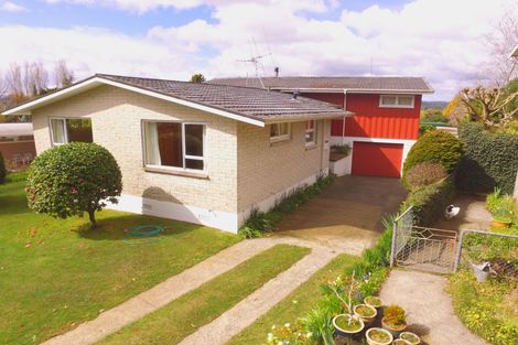 Photo of property in 147 Tirau Street, Putaruru, 3411