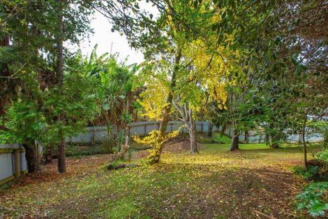 Photo of property in 19 Simon Road, Raglan, 3225