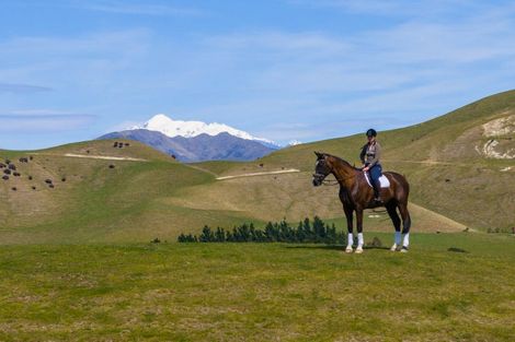 Photo of property in 59 Marama Road, Seddon, 7285