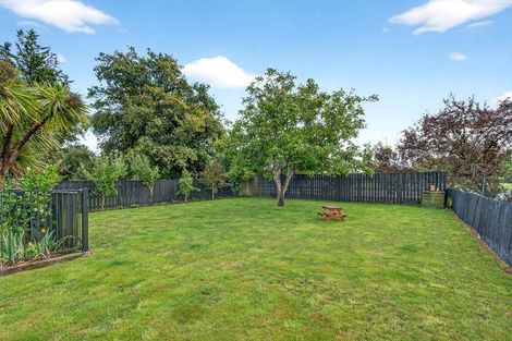 Photo of property in 25 Herbert Street, Masterton, 5810