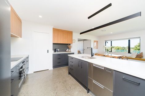 Photo of property in 235e Watershed Road, Bunnythorpe, Palmerston North, 4470