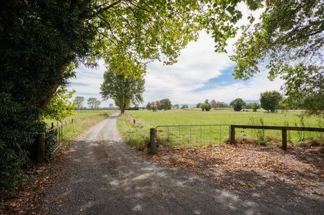 Photo of property in 164 Station Road, Matamata, 3472