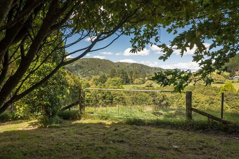 Photo of property in 49 Mangotahi Road, Thames, 3577