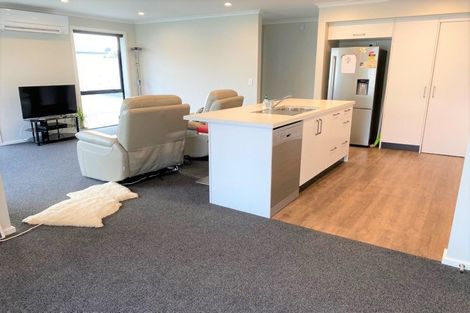 Photo of property in 36c Eton Street, Hampstead, Ashburton, 7700