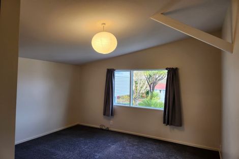 Photo of property in 8a Balmoral Street, Opoho, Dunedin, 9010