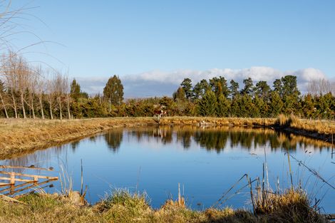 Photo of property in 446 Letts Gully Road, Springvale, Alexandra, 9393