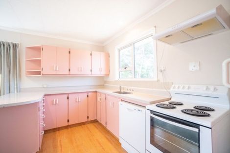 Photo of property in 26 Battersea Place, Roslyn, Palmerston North, 4414