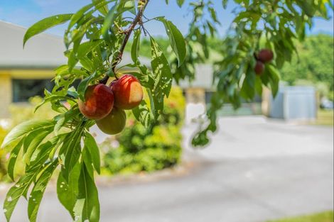 Photo of property in 621f Marychurch Road, Matangi, Hamilton, 3284
