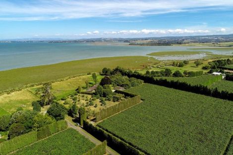 Photo of property in 380b Matahui Road, Aongatete, Katikati, 3181