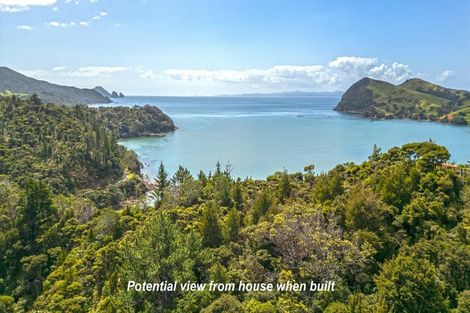 Photo of property in 1451 Port Charles Road, Port Charles, Coromandel, 3584