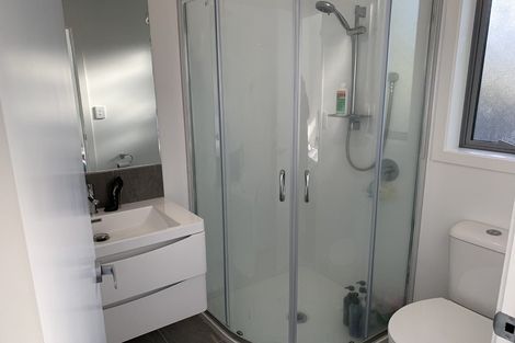 Photo of property in 35e Ross Crescent, Fairfield, Hamilton, 3214