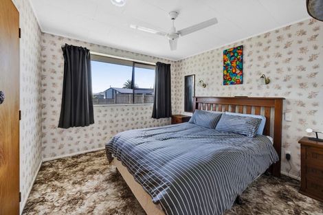 Photo of property in 13 Flint Road West, Stratford, 4332