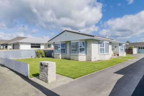 Photo of property in 550 Queen Street East, Levin, 5510