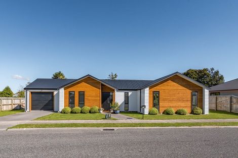 Photo of property in 19 Tarata Grove, Lansdowne, Masterton, 5810