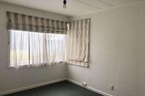 Photo of property in 3 Watene Road, Mount Wellington, Auckland, 1060